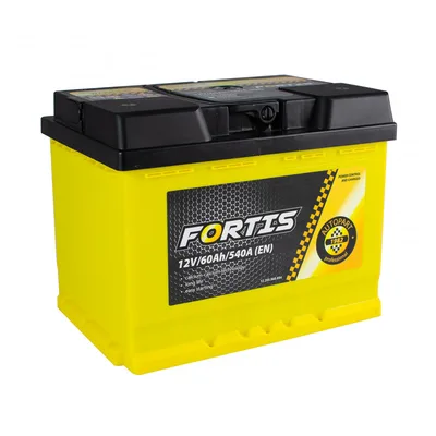 60 Ah/12V FORTIS (1)