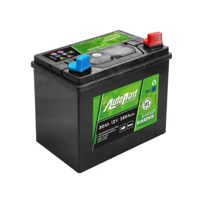 30 Ah/12V Autopart Garden (0)