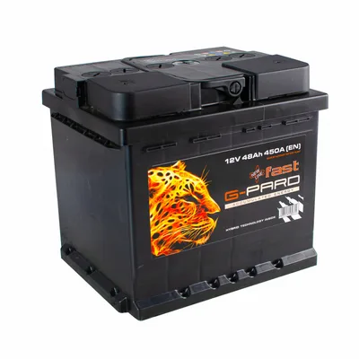 48 Аh/12V Fast G-Pard Euro(0)