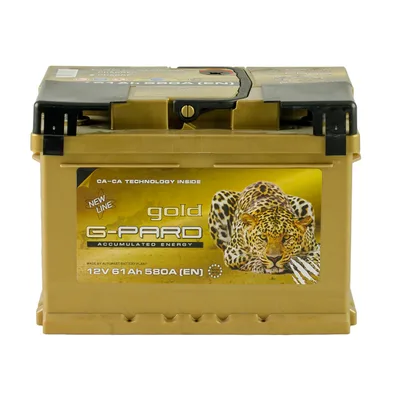 61 Аh/12V Gold G-Pard Euro(0)